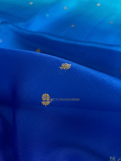 Light Blue Contrast Pure Kora Silk Handloom Banarasi Saree - All Over Kadhua Motifs