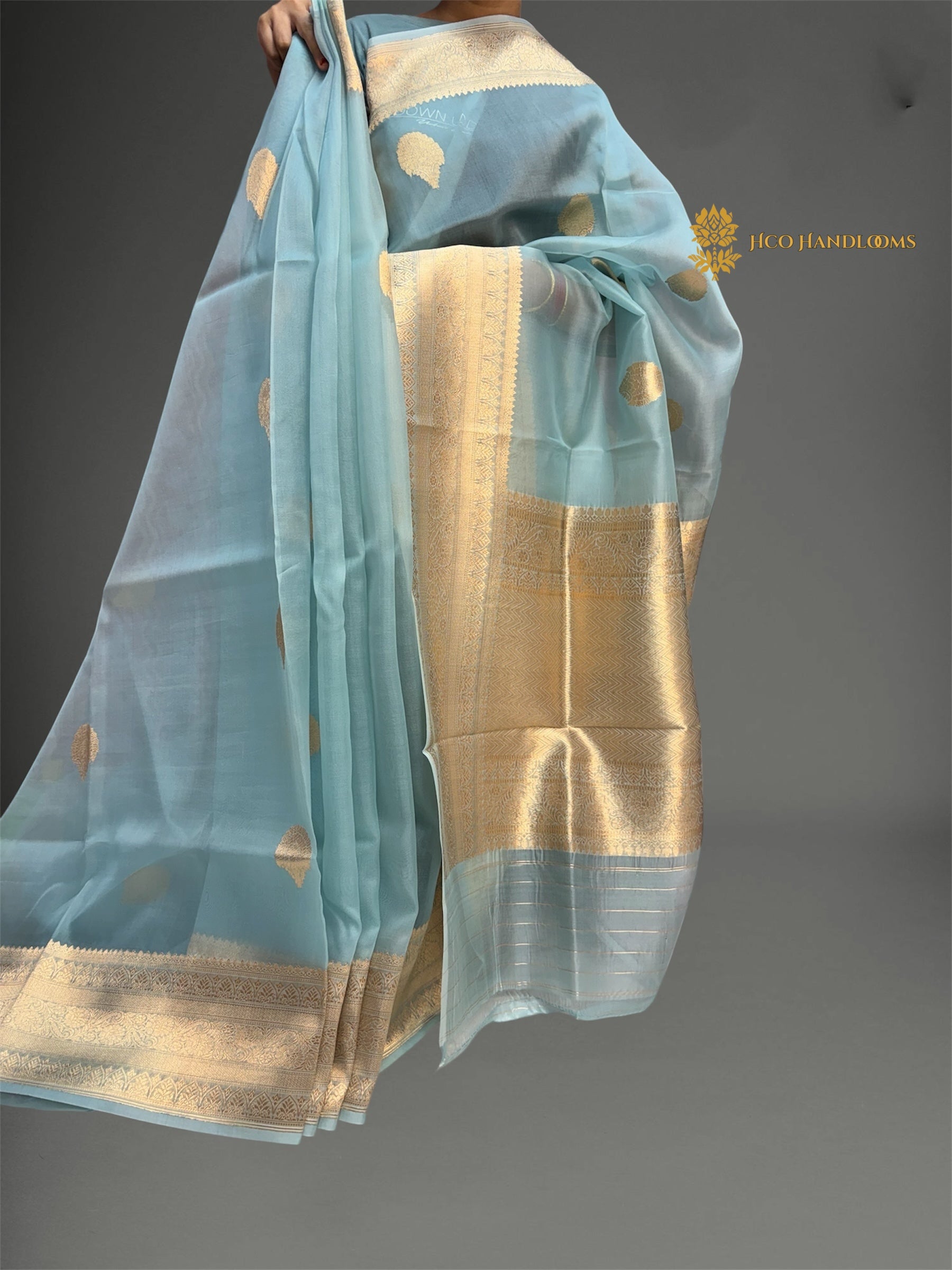 Regal Light Blue Pure Kora Silk Handloom Banrasi Saree - All Over Kadhua Motifs