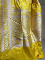 Regal Pure Katan Silk Handloom Banarasi Saree - All Over Motifs