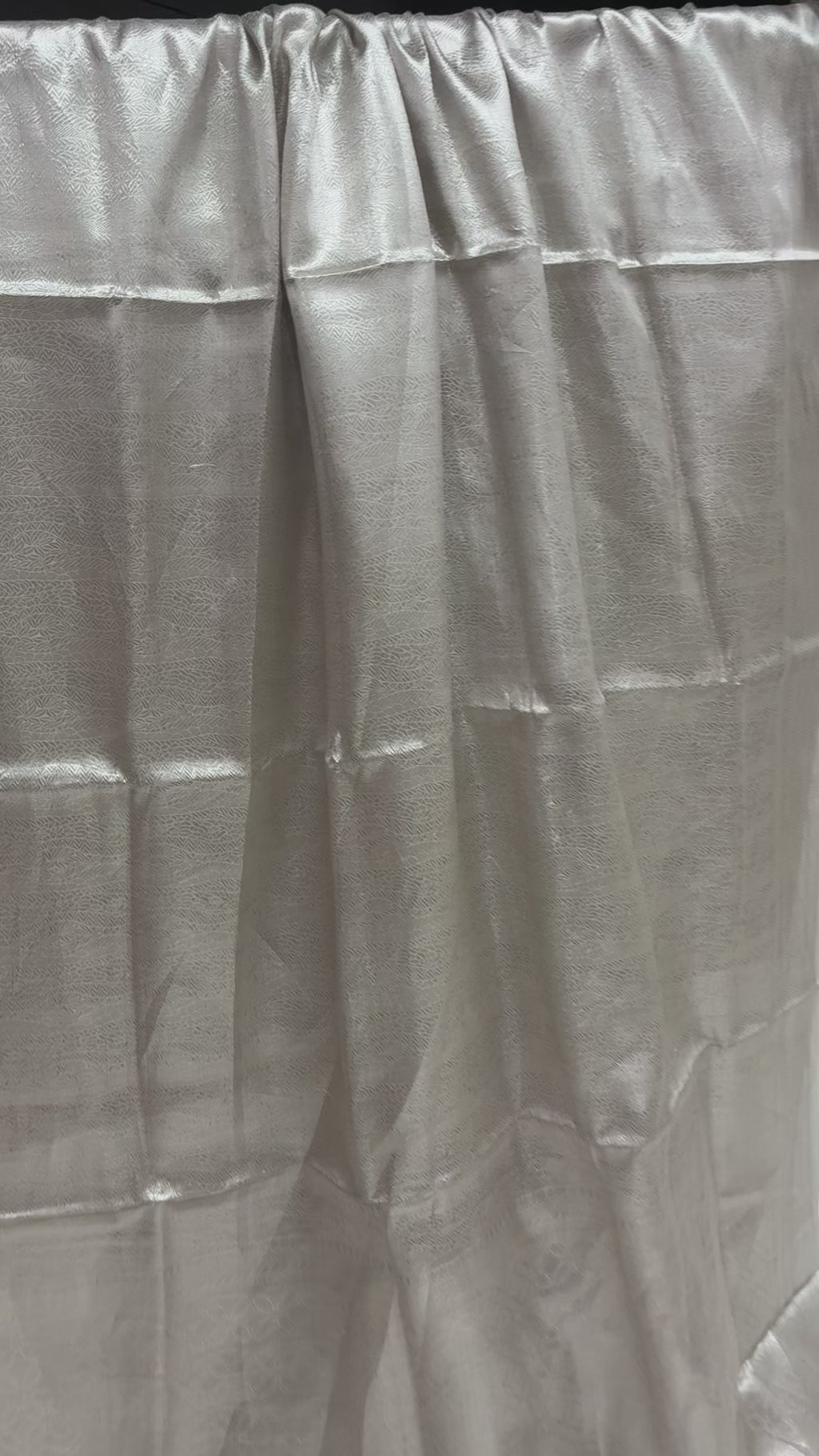 Silver Pure Molten Tissue Silk Tanchui Brocade Handloom Banarasi Saree