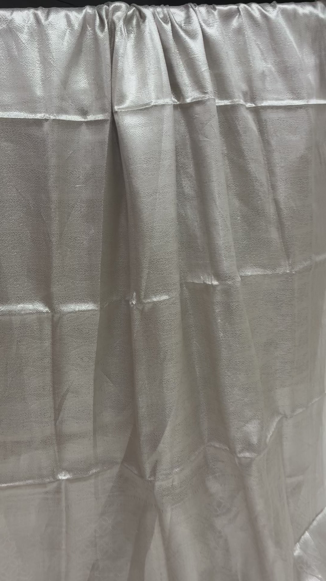 Silver Pure Molten Tissue Silk Tanchui Brocade Handloom Banarasi Saree