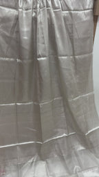 Silver Pure Molten Tissue Silk Tanchui Brocade Handloom Banarasi Saree