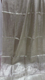 Silver Pure Molten Tissue Silk Tanchui Brocade Handloom Banarasi Saree