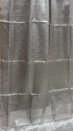 Silver Pure Molten Tissue Silk Tanchui Brocade Handloom Banarasi Saree