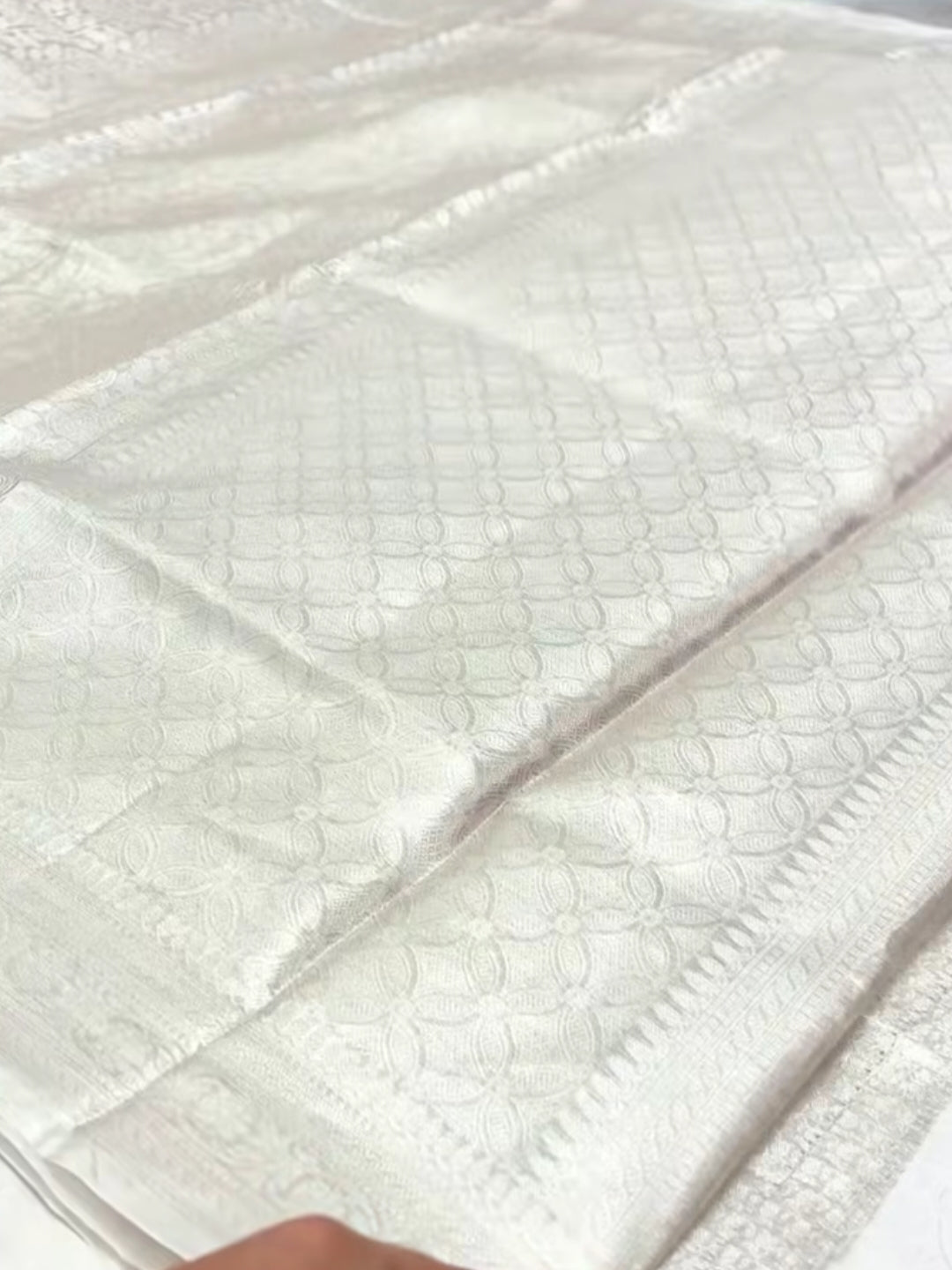 Silver Pure Molten Tissue Silk Handloom Banarasi Saree Rekha Ji Inspired